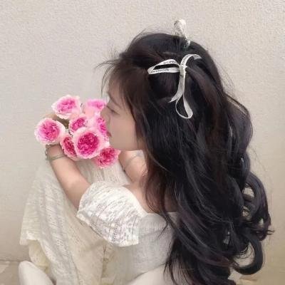 粉红蝴蝶